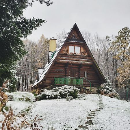 Kosarzowka Villa Bielsko-Biała Dış mekan fotoğraf
