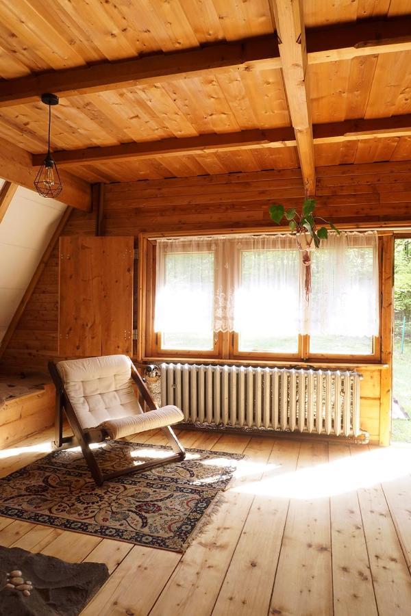 Kosarzowka Villa Bielsko-Biała Dış mekan fotoğraf