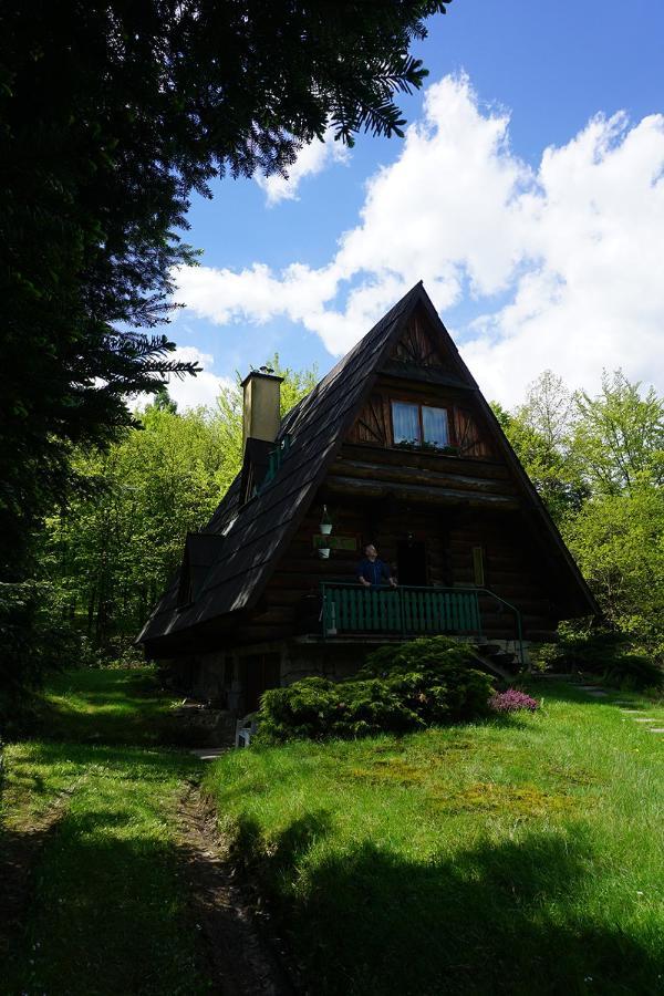 Kosarzowka Villa Bielsko-Biała Dış mekan fotoğraf