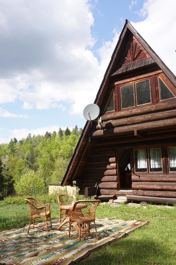 Kosarzowka Villa Bielsko-Biała Dış mekan fotoğraf