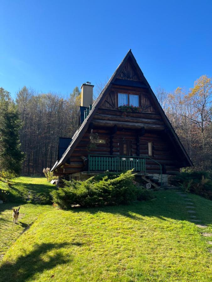 Kosarzowka Villa Bielsko-Biała Dış mekan fotoğraf