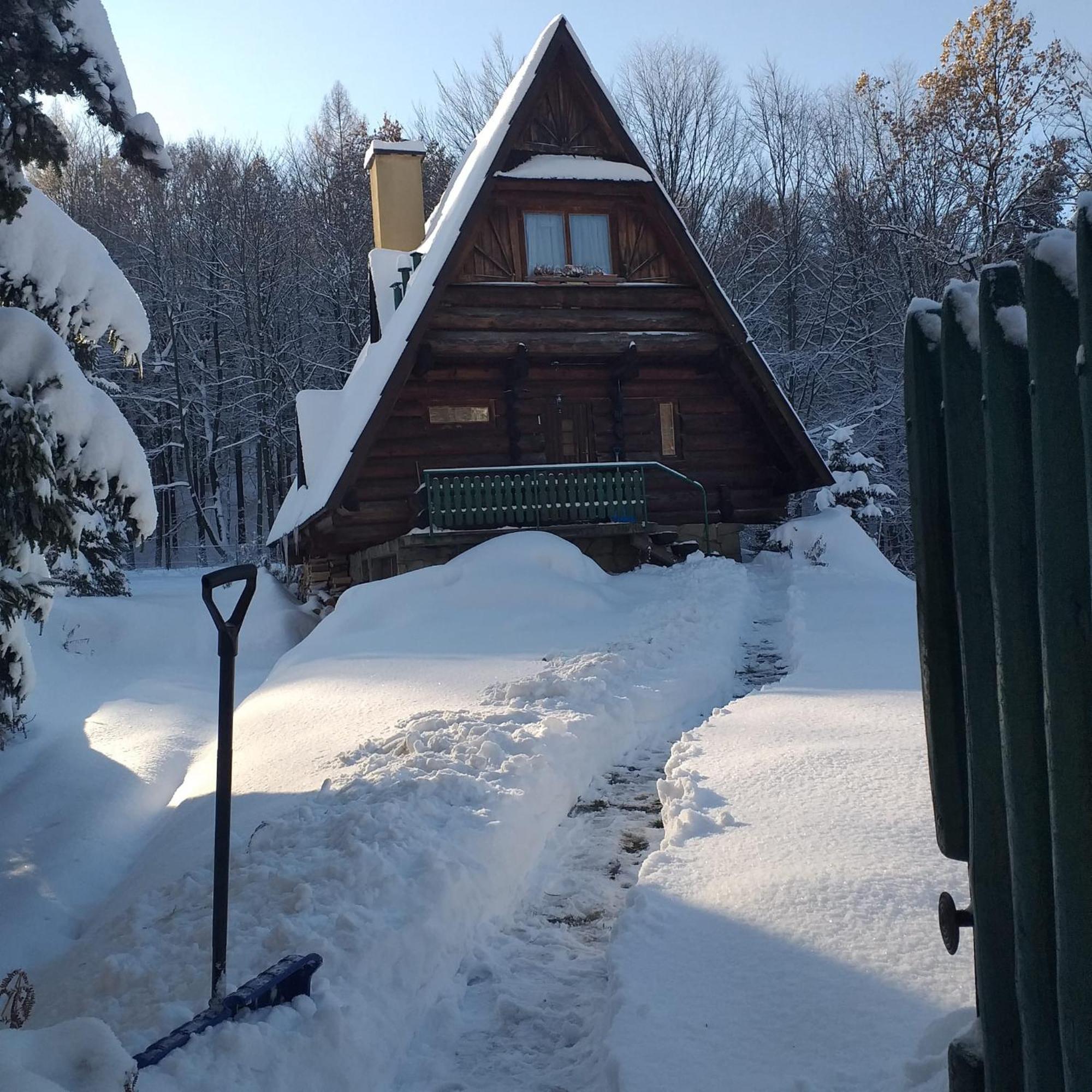 Kosarzowka Villa Bielsko-Biała Dış mekan fotoğraf